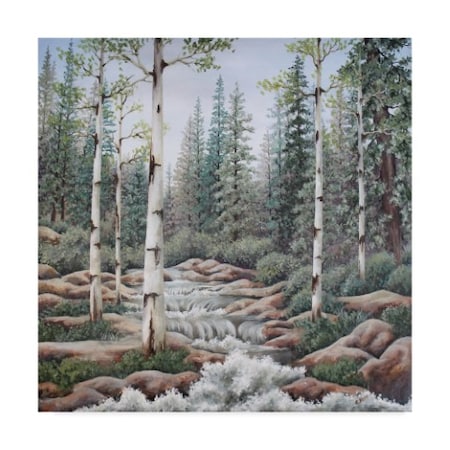 Carol J Rupp 'Summer Stream' Canvas Art,35x35